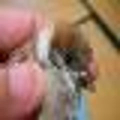 あきらのプロフィール
