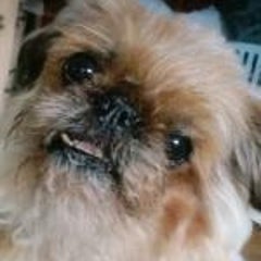 やな♪のプロフィール