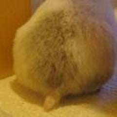 むーのプロフィール