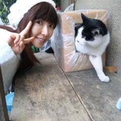 ヨーコ会長のプロフィール