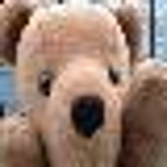 honeyのプロフィール