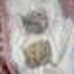 ＭＯＭＯのプロフィール