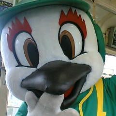 待ち受けライティのプロフィール
