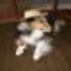 タコの下処理とゆで方 釣りが好きすぎて移住しちゃった人の日記 タコの下処理とゆで方 釣りが好きすぎて移住しちゃった人の日記