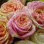 画像 織田瓜生花店のブログのユーザープロフィール画像