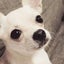 じゃっき～のサムネイル