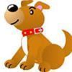 どっとんのプロフィール