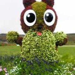 みじゅのプロフィール
