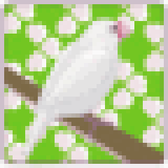 文鳥さんの爪を切ると こうなります 実践編 ポコの文鳥日記 文鳥さんの爪を切ると こうなります 実践編 ポコの文鳥日記