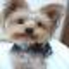 まさかの赤チン 勇気凛凛 時々凹 まさかの赤チン 勇気凛凛 時々凹