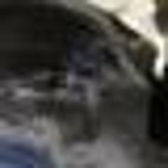 トニーのプロフィール