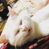 ちーのプロフィール