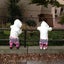 ゆかマミーちゃんのサムネイル