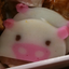   あぴこのサムネイル