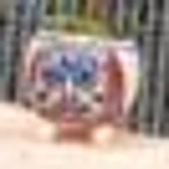 盆　栽男のプロフィール