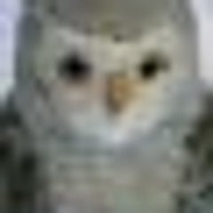 れいげんのプロフィール
