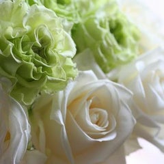 GreenRoseのプロフィール