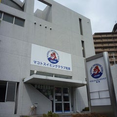 マコトスイミングクラブ和泉スタッフのプロフィール