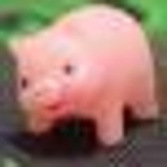 Euleのプロフィール