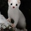 soraのサムネイル