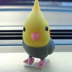 タカミーのプロフィール