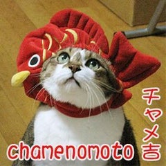 chame＆チャメ吉のプロフィール