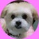 ★しろくま＆うなぎ犬★