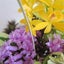 画像 彩花（saika）のユーザープロフィール画像