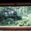 yukのサムネイル