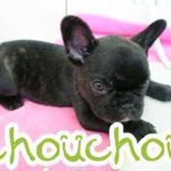 Ps Chouchou 福生店さんのプロフィールページ Ps Chouchou 福生店さんのプロフィールページ