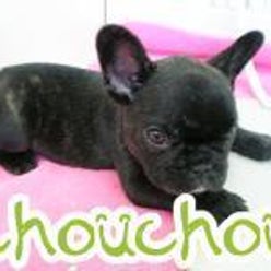 Ps Chouchou 福生店さんのプロフィールページ