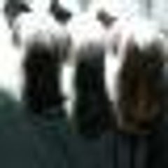 tenのプロフィール