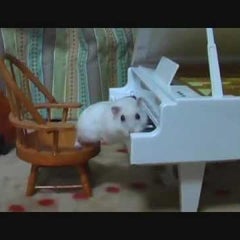 サティ グノシエンヌ第1番 クラシック えんむすび サティ グノシエンヌ第1番 クラシック えんむすび