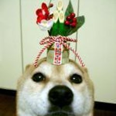 またひこのプロフィール