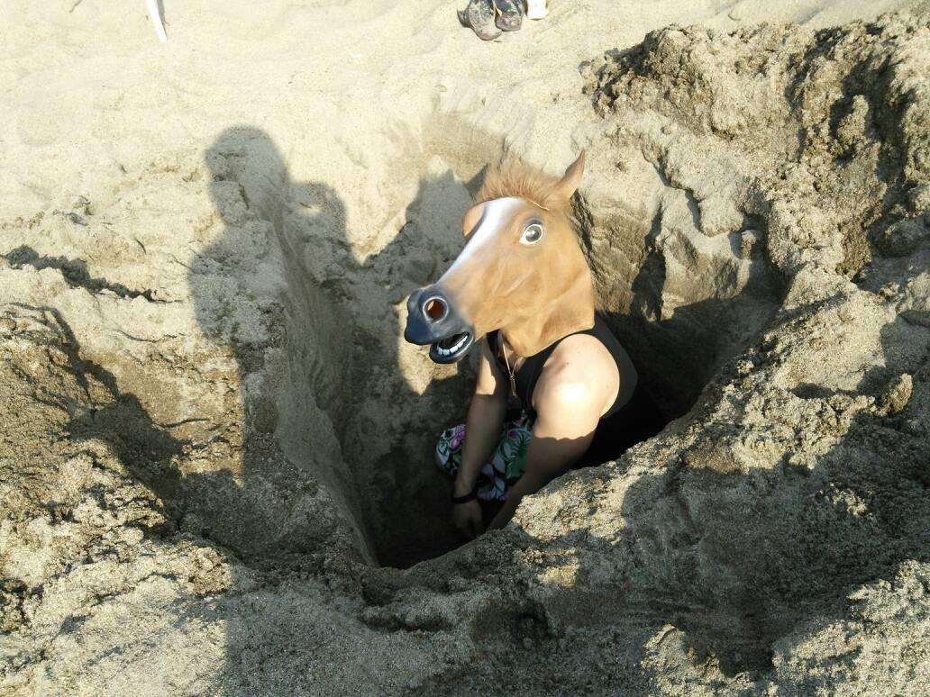 ケルベロスの加湿器 気になりますね お馬鹿なマリモフの楽しい世界だったらいいな