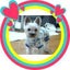 こたろうのサムネイル