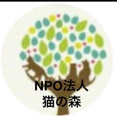 Yukikoのプロフィール