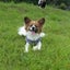 Daisukeのサムネイル