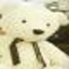 ちぇりーのプロフィール
