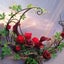 画像 フラワ-サロンMadam-C プリザの資格取得可　体験    ブーケ、 花材キット　オーダー　　のユーザープロフィール画像
