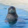 ハワイ　マウイ島ホテリエのブログ
