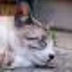 Hiroのプロフィール