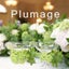 画像 東京・ウェディングブーケと会場装花の専門アトリエ「プルマージュ」のユーザープロフィール画像