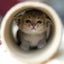 くるくるのサムネイル