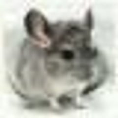ぺぺのプロフィール