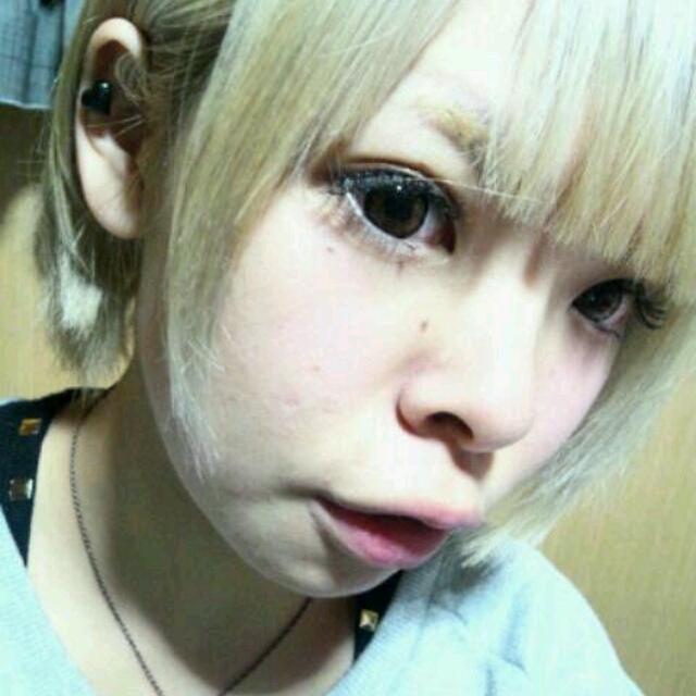 なつこし