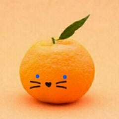 蜜柑のプロフィール