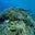 沖縄ダイビングサービス　潜水屋のブログ