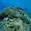 画像 沖縄ダイビングサービス　潜水屋のブログのユーザープロフィール画像