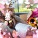 ☆A Day of my life☆